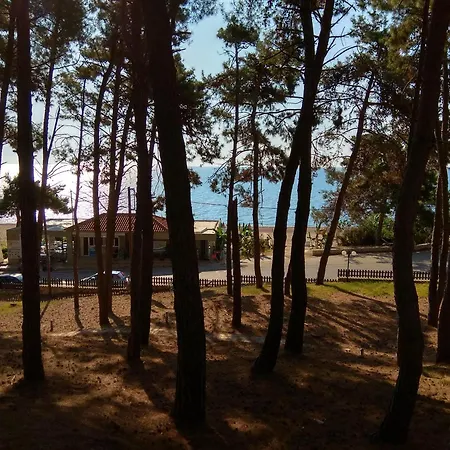 Apartamento Blue Skala - Althea Ii